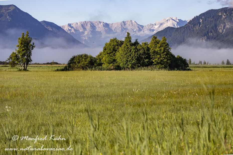 Murnauer Moos (BAY_LKR_GAP)_0080