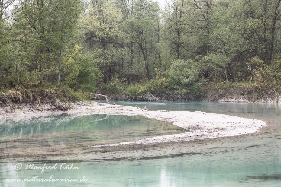 Isar (BAY_LKR_TÖL)_0094