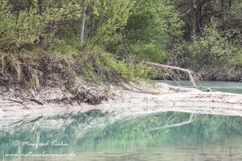 Isar (BAY_LKR_TÖL)_0095