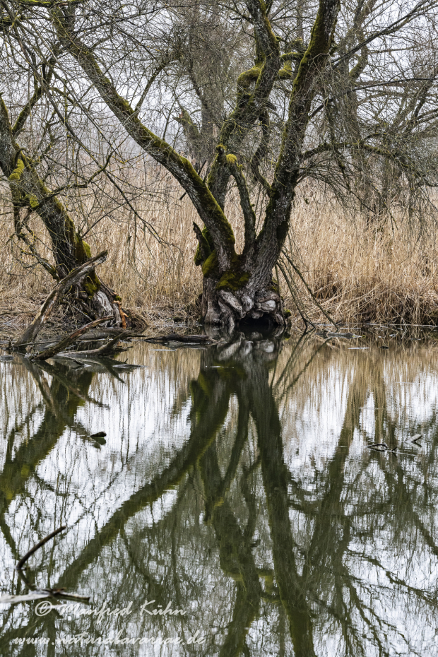 Isar (BAY_LKR_DEG)_0002