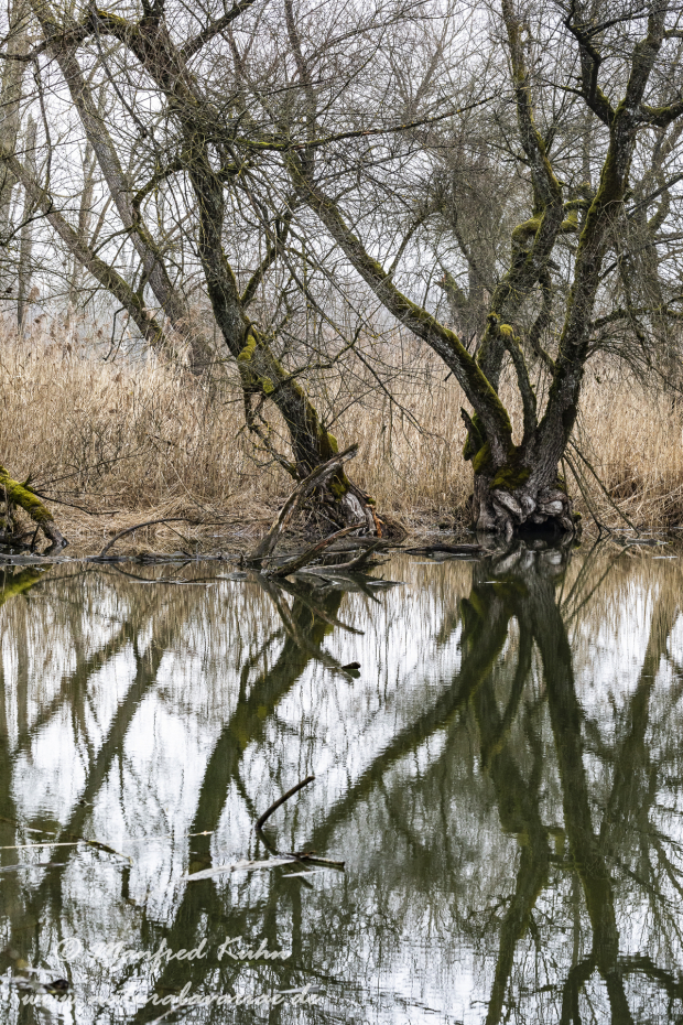 Isar (BAY_LKR_DEG)_0003