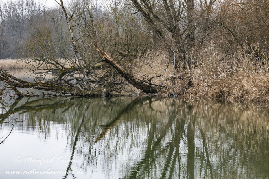 Isar (BAY_LKR_DEG)_0007