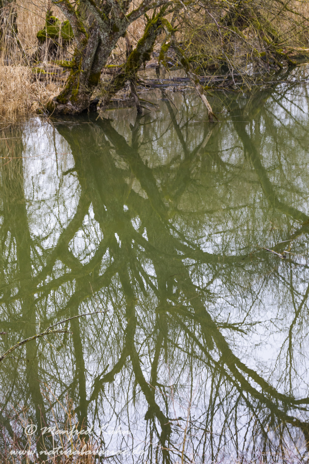 Isar (BAY_LKR_DEG)_0008