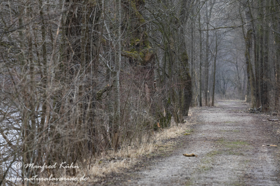 Isar (BAY_LKR_FS)_0012