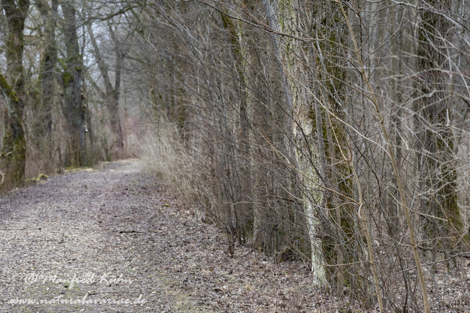 Isar (BAY_LKR_FS)_0015