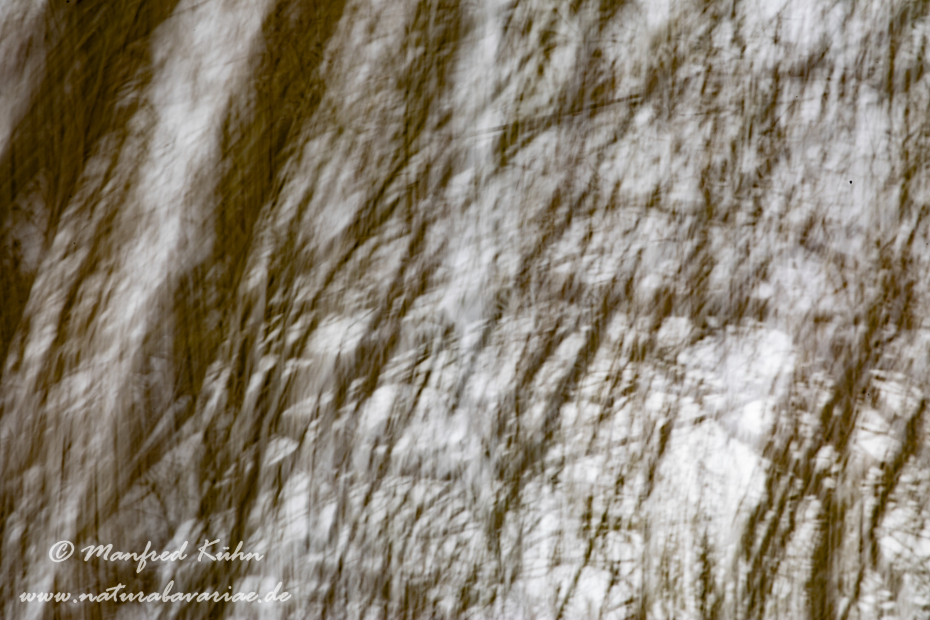 Isar (BAY_LKR_FS)_0055