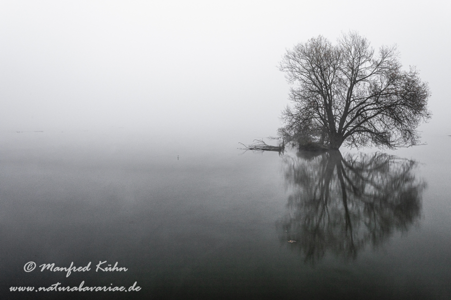 Isar (BAY_LKR_FS)_0131