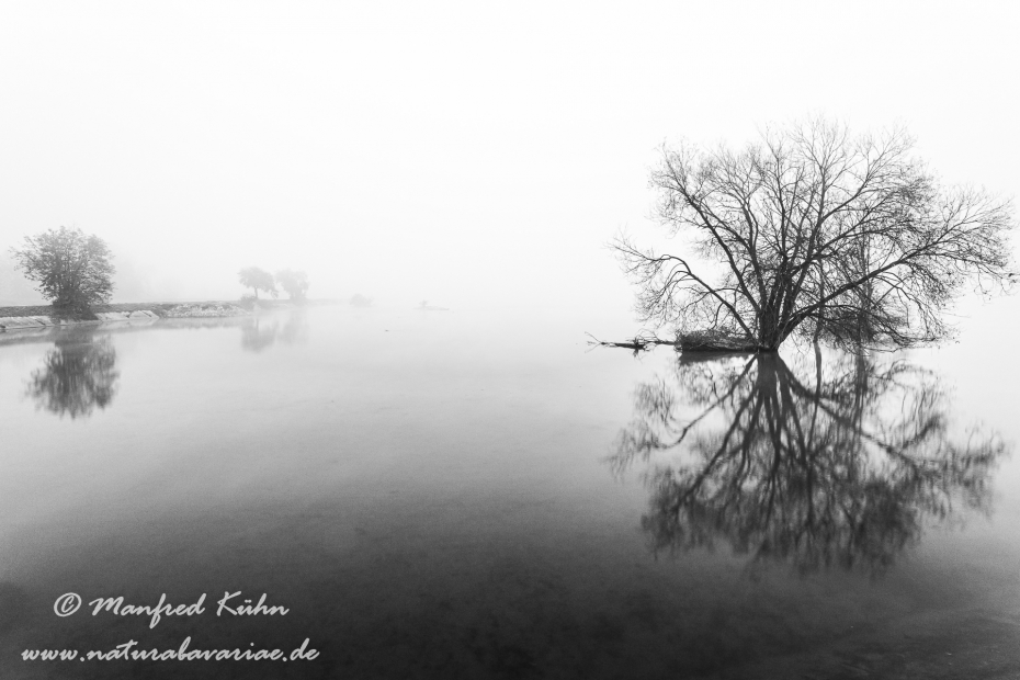 Isar (BAY_LKR_FS)_0134