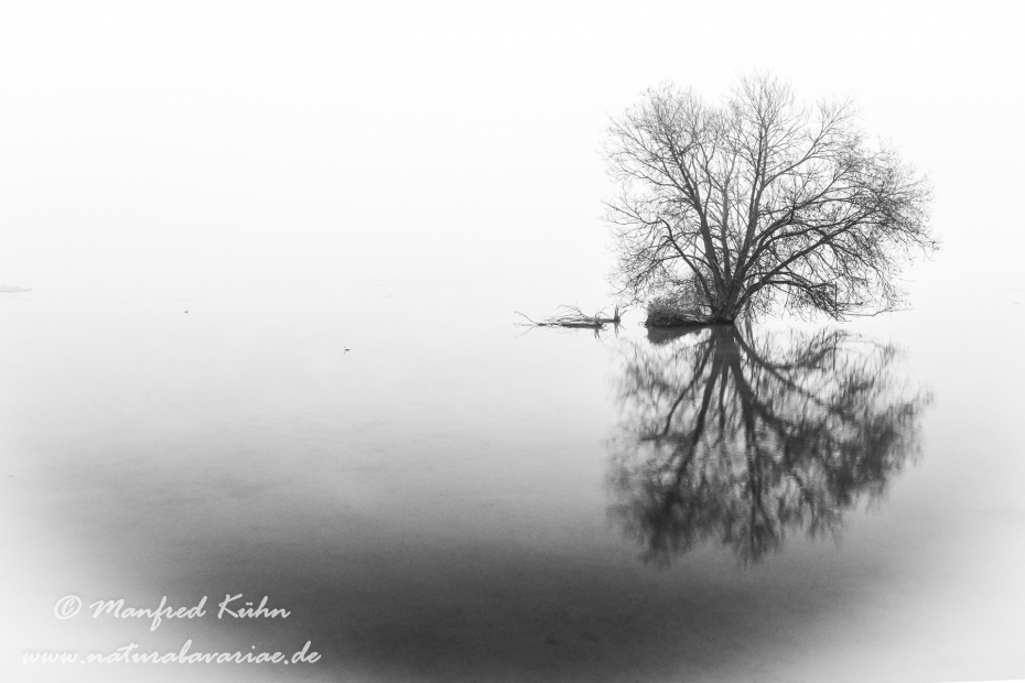 Isar (BAY_LKR_FS)_0136