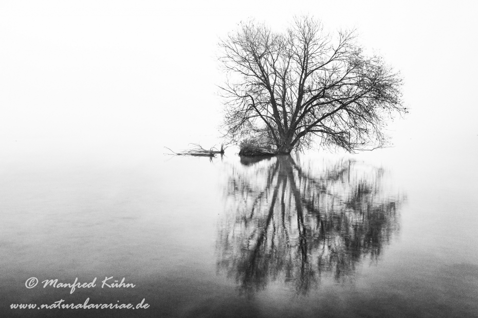Isar (BAY_LKR_FS)_0142