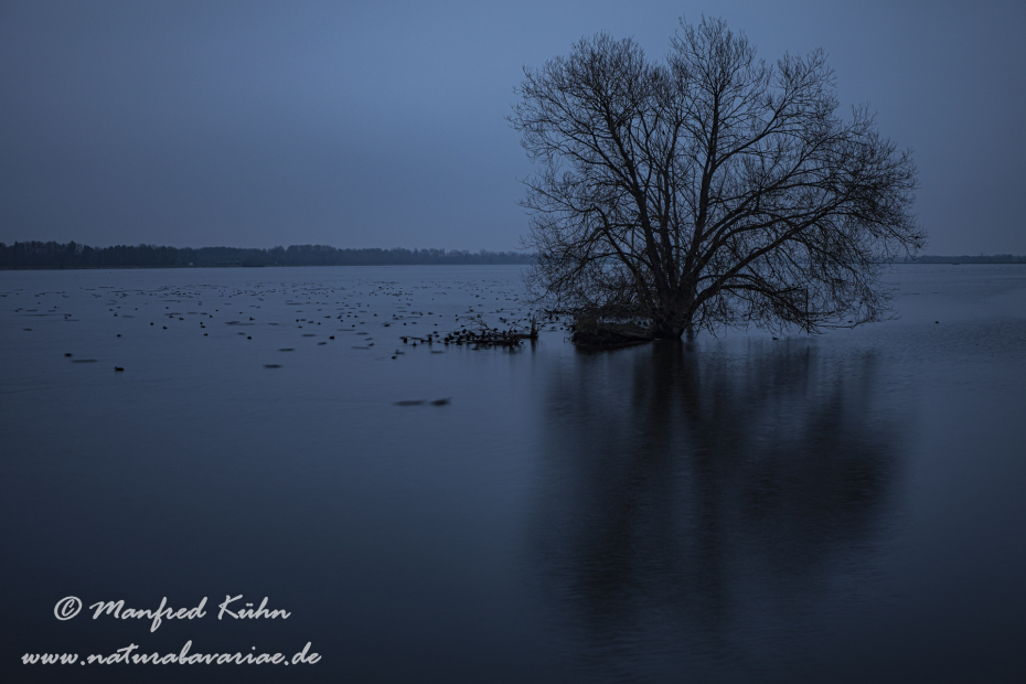Isar (BAY_LKR_FS)_0145