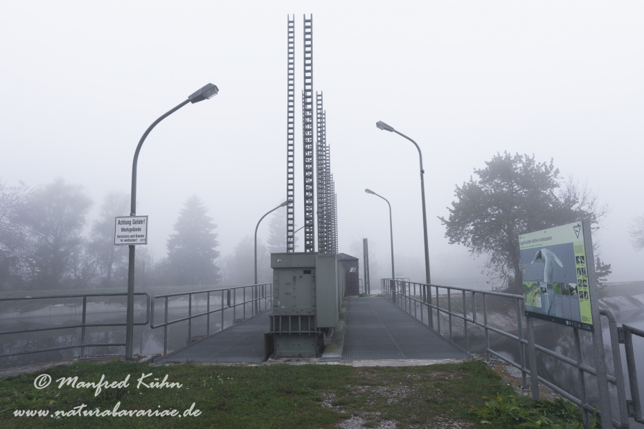 Isar (BAY_LKR_FS)_0150