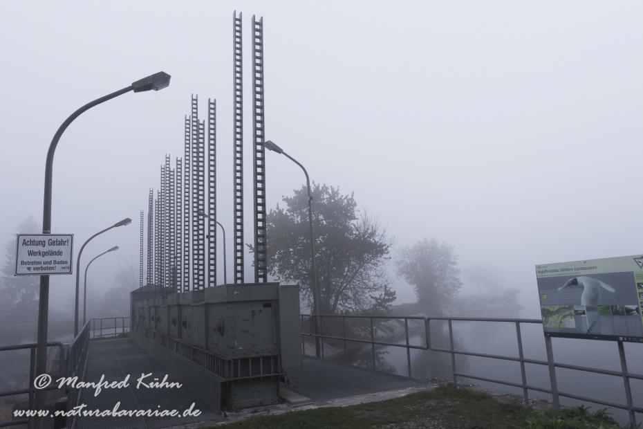 Isar (BAY_LKR_FS)_0151