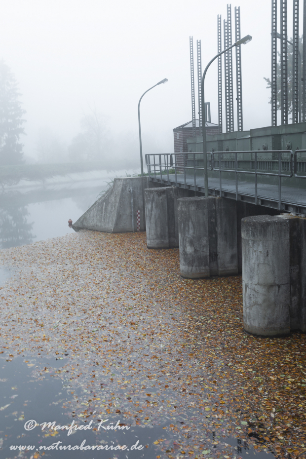 Isar (BAY_LKR_FS)_0152
