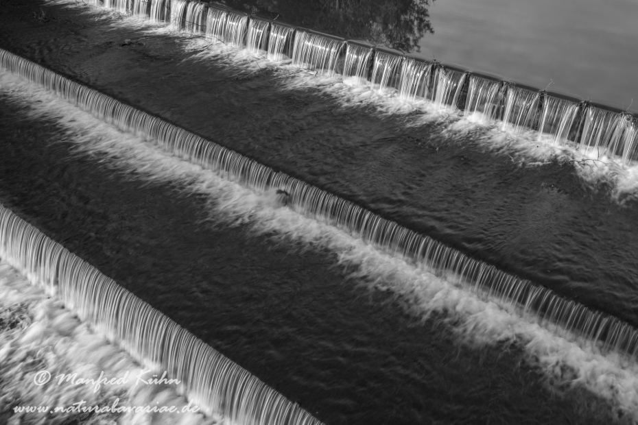 Isar (BAY_LKR_FS)_0302