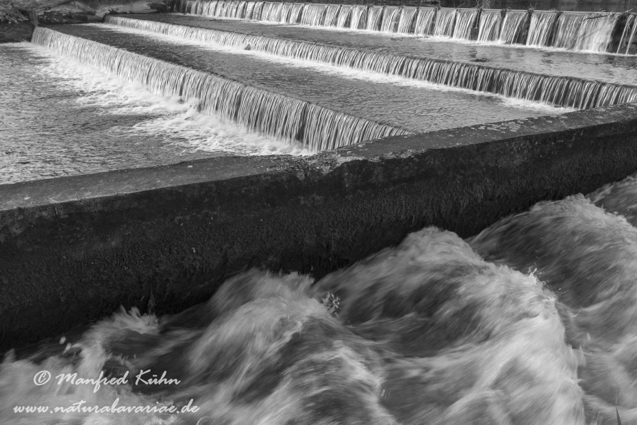 Isar (BAY_LKR_FS)_0312