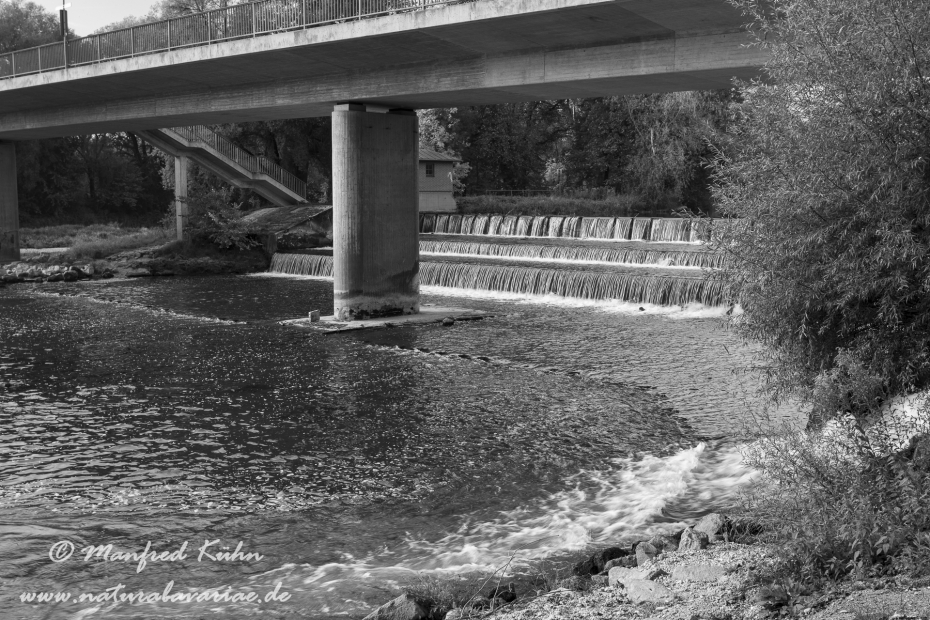 Isar (BAY_LKR_FS)_0315