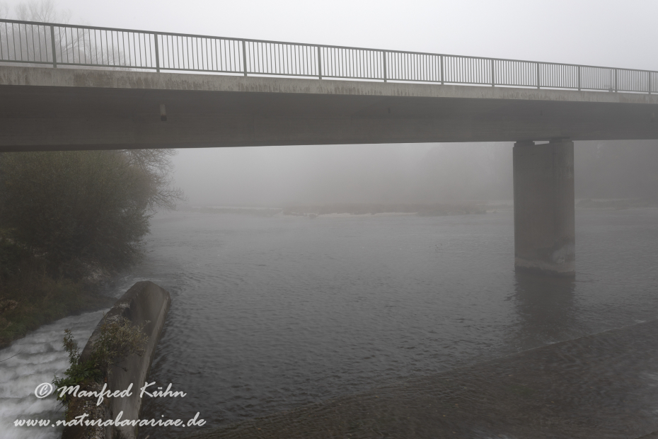 Isar (BAY_LKR_FS)_0320