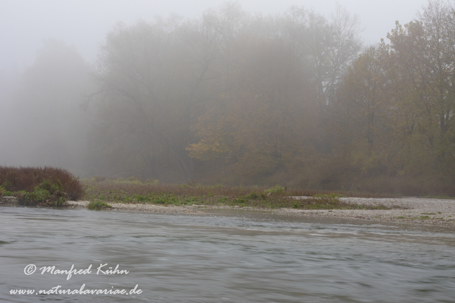 Isar (BAY_LKR_FS)_0353