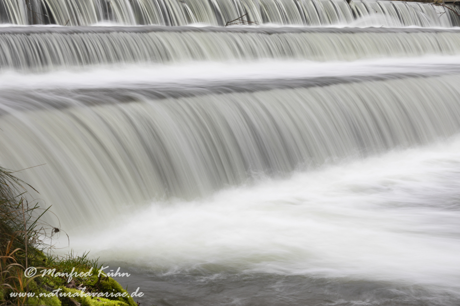 Isar (BAY_LKR_FS)_0367