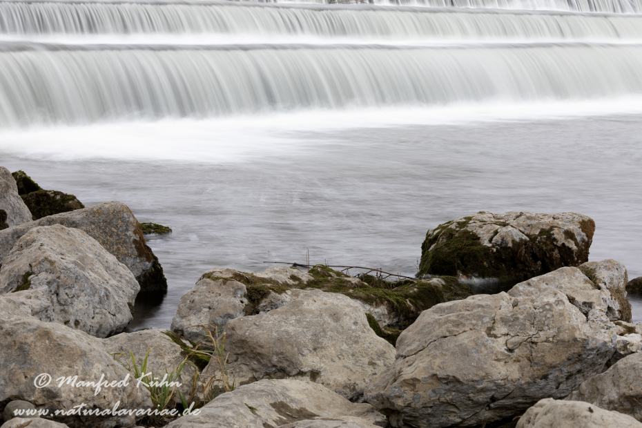 Isar (BAY_LKR_FS)_0369