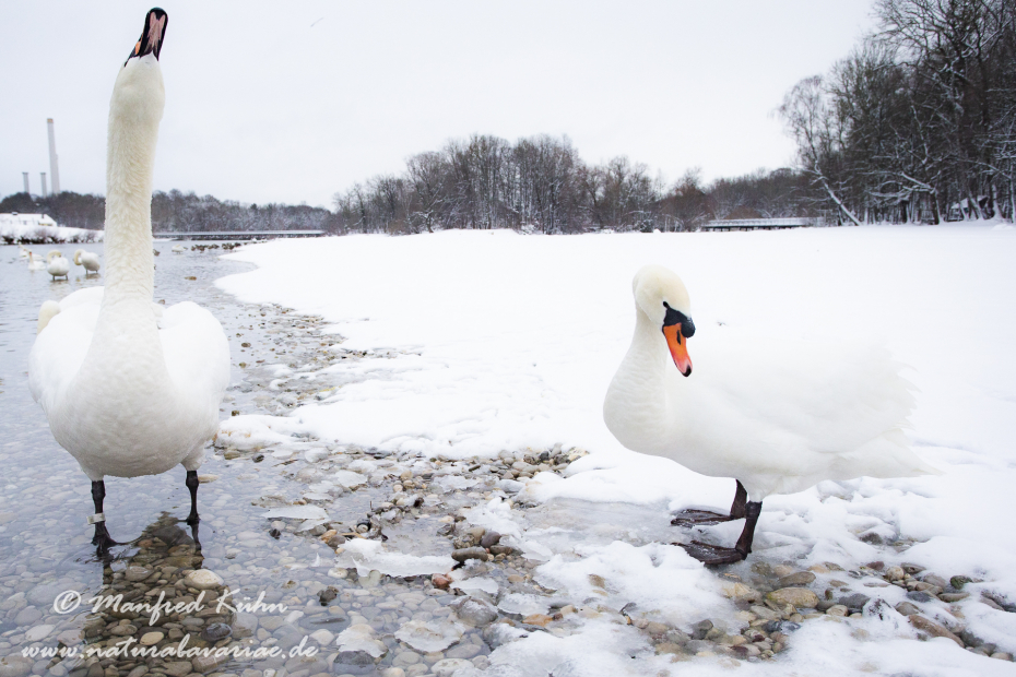 Isar (BAY_LKR_M)_0019