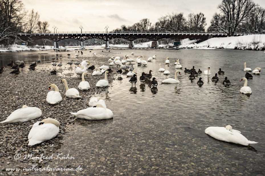 Isar (BAY_LKR_M)_0024