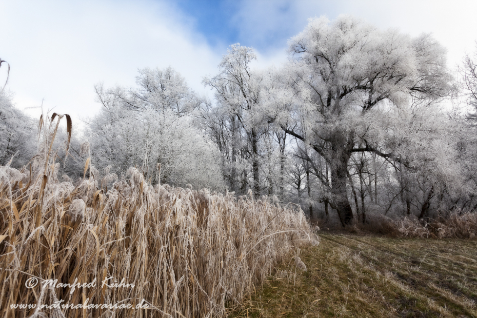 Amper_Auwald (BAY_LKR_DAH)_0001