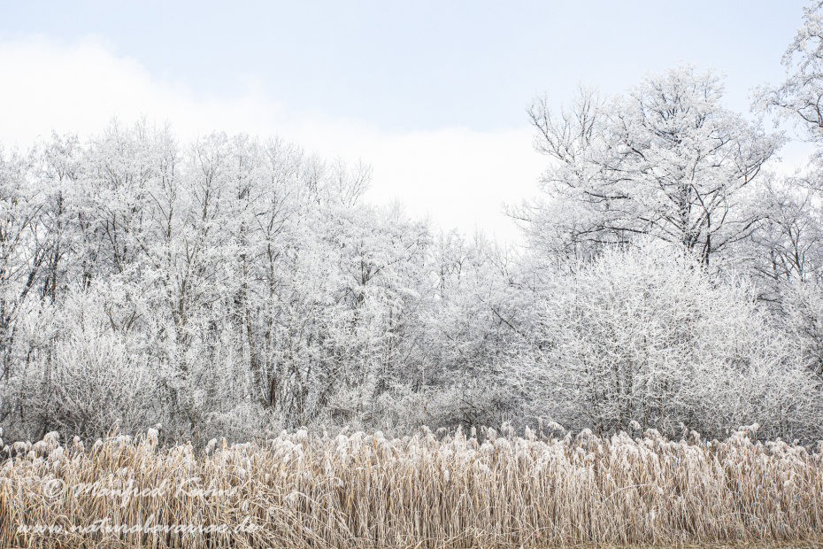 Amper_Auwald (BAY_LKR_DAH)_0010