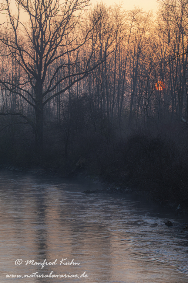 Amper_Sonnenaufgang (BAY_LKR_DAH)_0011
