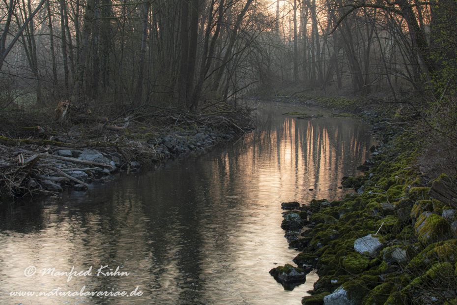 Amper_Sonnenaufgang (BAY_LKR_DAH)_0013