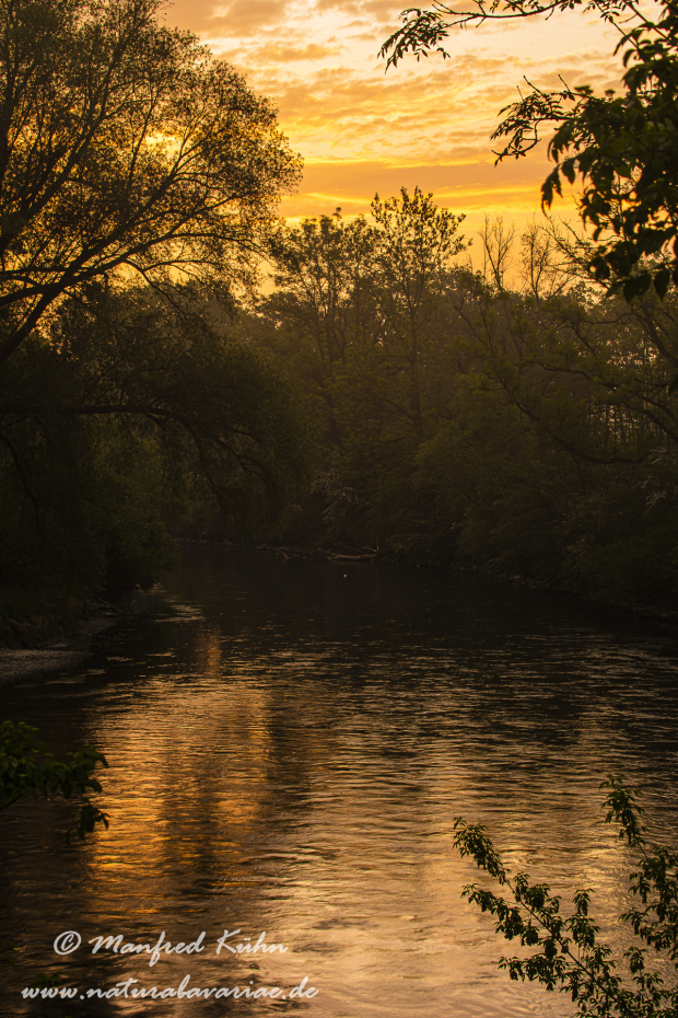 Amper_Sonnenuntergang (BAY_LKR_DAH)_0010