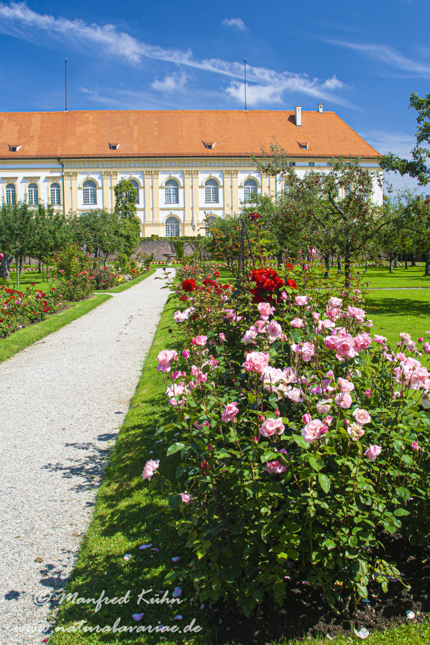 Dachau_Schloß (BAY_LKR_DAH)_0006