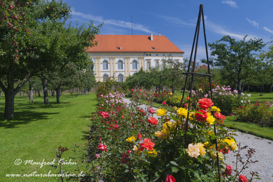 Dachau_Schloß (BAY_LKR_DAH)_0008