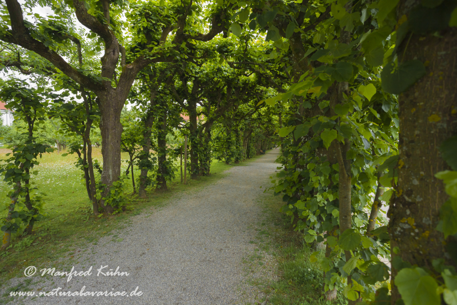 Dachau_Schloßpark (BAY_LKR_DAH)_0001
