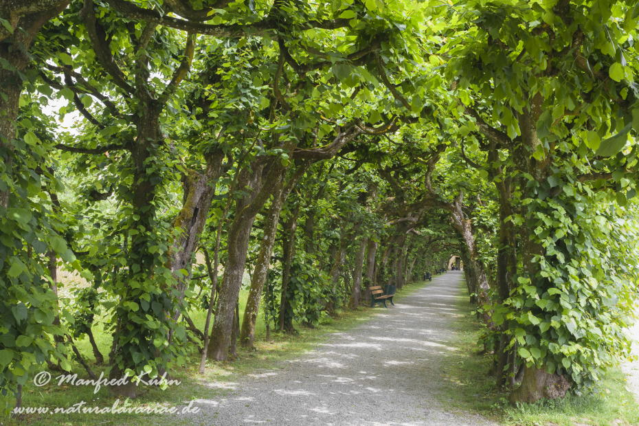 Dachau_Schloßpark (BAY_LKR_DAH)_0003