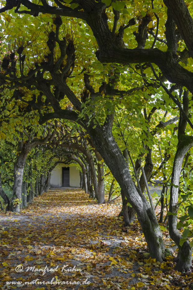 Dachau_Schloßpark (BAY_LKR_DAH)_0004