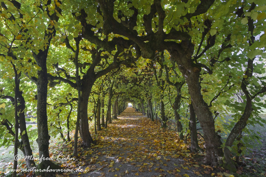 Dachau_Schloßpark (BAY_LKR_DAH)_0006