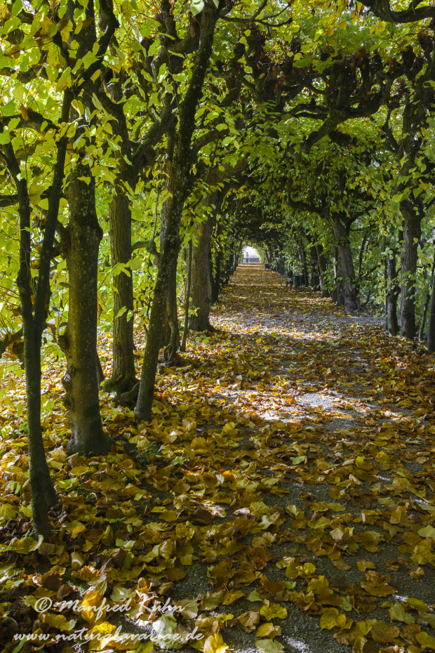 Dachau_Schloßpark (BAY_LKR_DAH)_0009