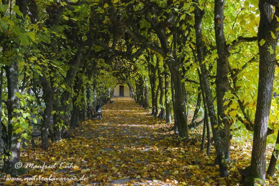 Dachau_Schloßpark (BAY_LKR_DAH)_0010