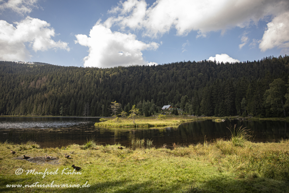 Arbersee_Kleiner (BAY_LKR_CHA)_0001