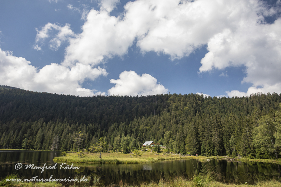 Arbersee_Kleiner (BAY_LKR_CHA)_0008