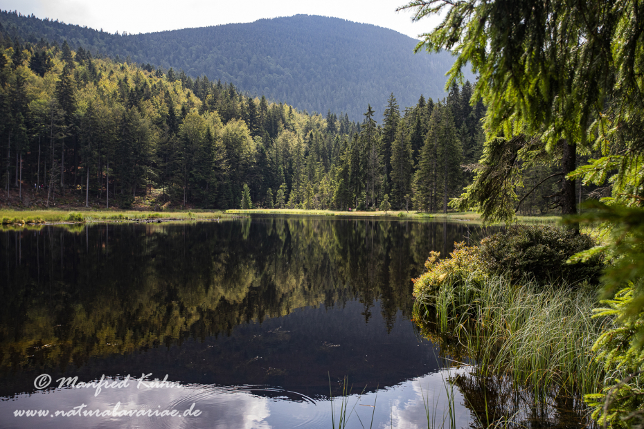 Arbersee_Kleiner (BAY_LKR_CHA)_0023