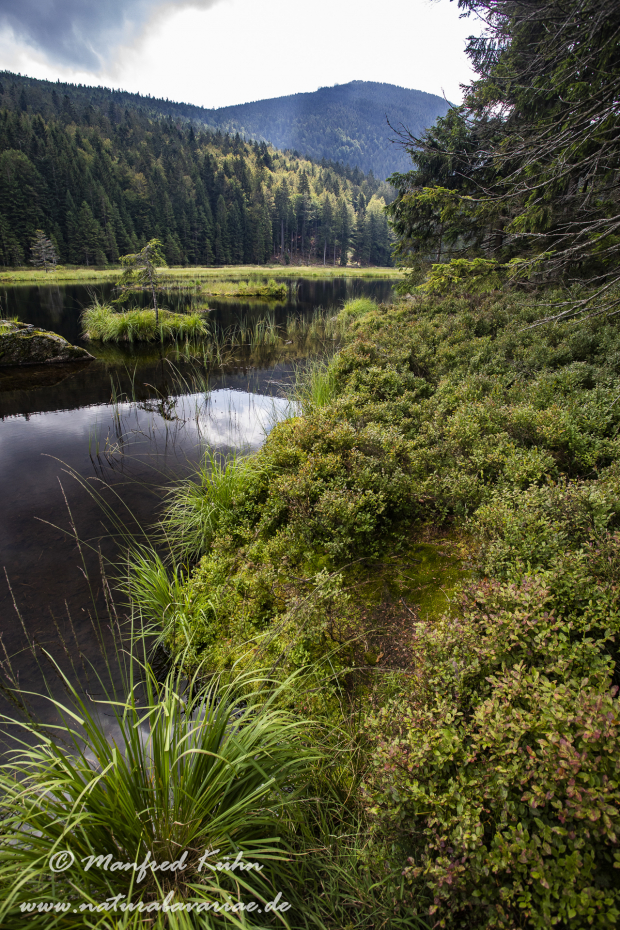 Arbersee_Kleiner (BAY_LKR_CHA)_0036