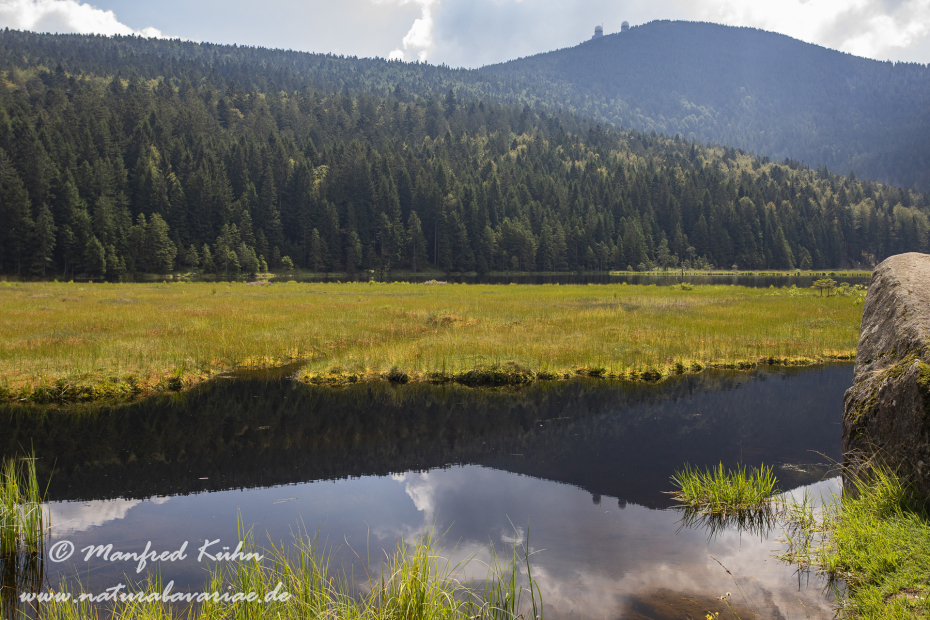 Arbersee_Kleiner (BAY_LKR_CHA)_0043