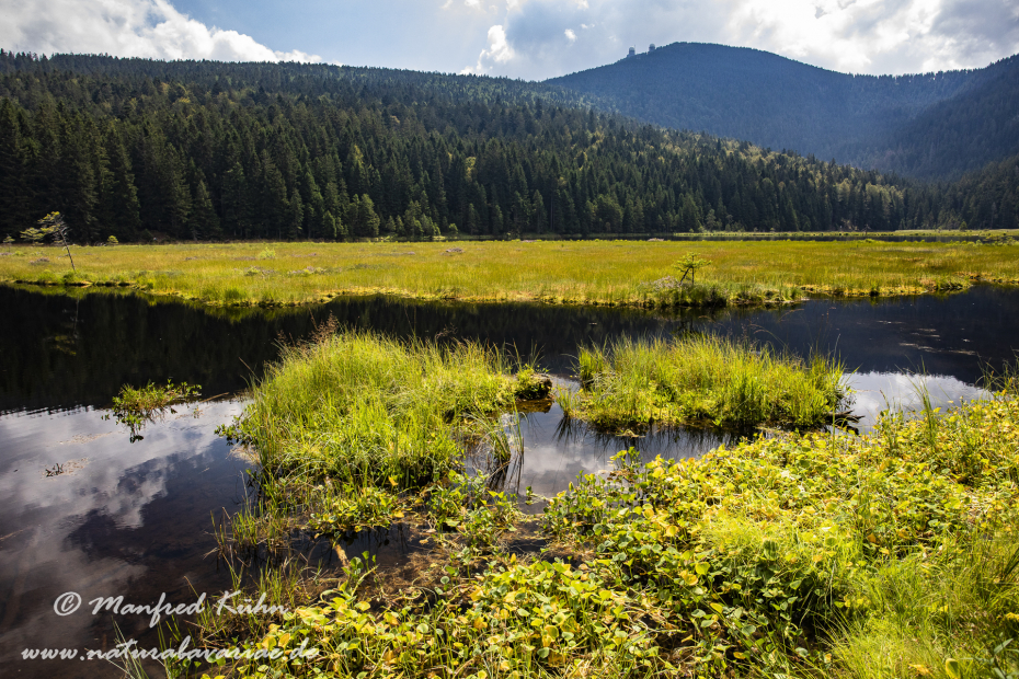 Arbersee_Kleiner (BAY_LKR_CHA)_0044