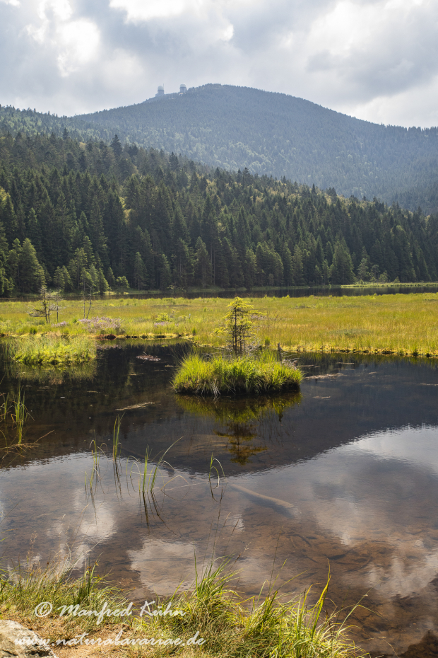 Arbersee_Kleiner (BAY_LKR_CHA)_0048