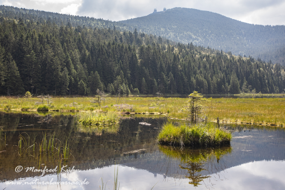 Arbersee_Kleiner (BAY_LKR_CHA)_0049