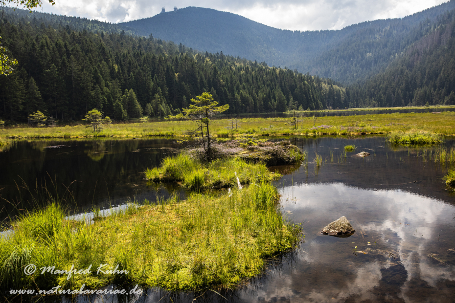 Arbersee_Kleiner (BAY_LKR_CHA)_0052