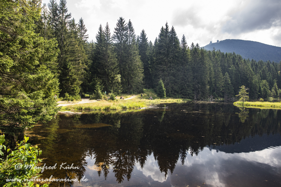Arbersee_Kleiner (BAY_LKR_CHA)_0054